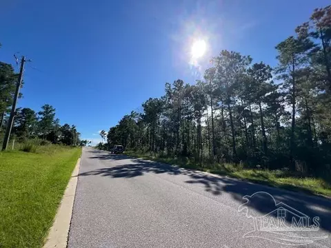 Br Lot 36 Buffalo Ridge Rd, Pace, FL 32571 photo 11
