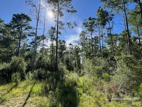 Br Lot 36 Buffalo Ridge Rd, Pace, FL 32571 photo 17