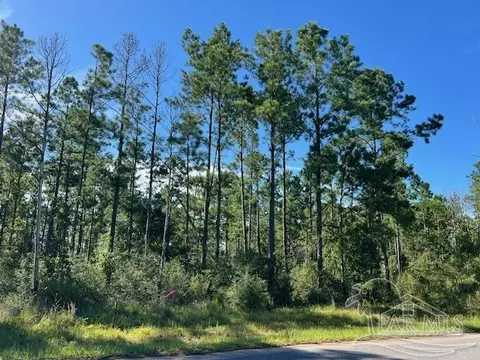 Br Lot 36 Buffalo Ridge Rd, Pace, FL 32571 photo 13