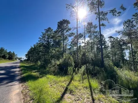 Br Lot 36 Buffalo Ridge Rd, Pace, FL 32571 photo 15