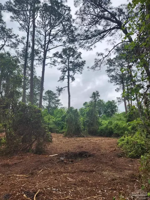 6 7 Acres Bankhead Rd, Pensacola, FL 32526