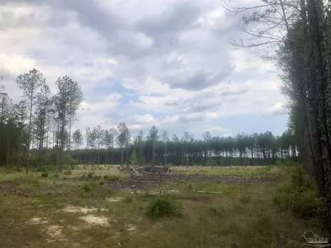 Parcel E NE Walther Rd, Milton, FL 32570 photo 3