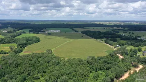 0 Bell Fork Rd, Atmore, AL 36502 photo 7