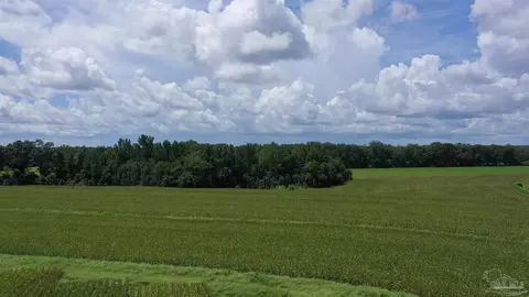 0 Bell Fork Rd, Atmore, AL 36502 photo 5