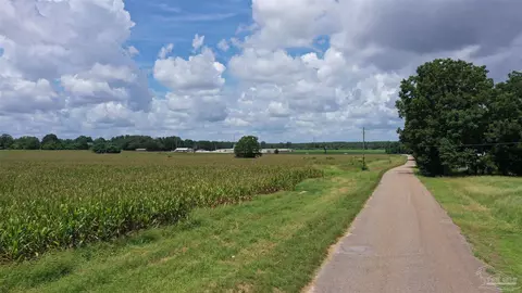 0 Bell Fork Rd, Atmore, AL 36502 photo 6