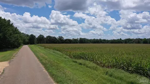 0 Bell Fork Rd, Atmore, AL 36502 photo 4