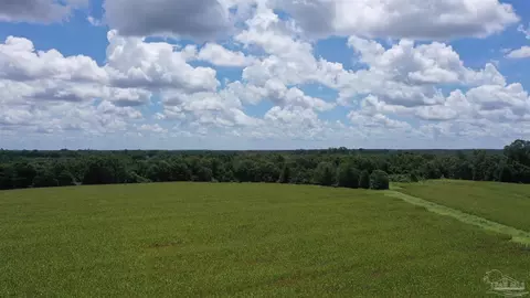 0 Bell Fork Rd, Atmore, AL 36502 photo 13