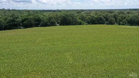 0 Bell Fork Rd, Atmore, AL 36502 photo 15