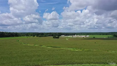 0 Bell Fork Rd, Atmore, AL 36502 photo 8