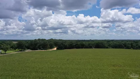 0 Bell Fork Rd, Atmore, AL 36502 photo 12