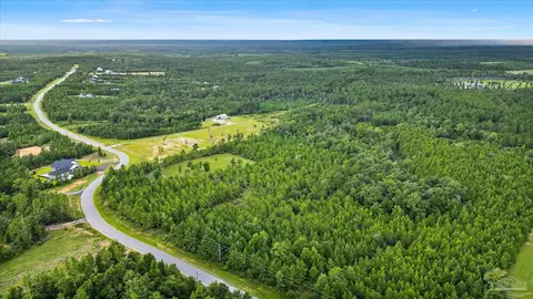 17 Br Buffalo Ridge Rd, Pace, FL 32571 photo 4