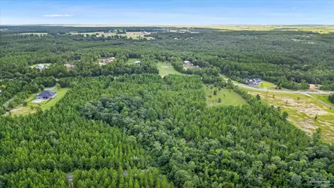 17 Br Buffalo Ridge Rd, Pace, FL 32571 photo 14