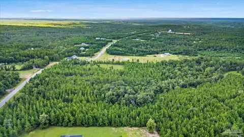 17 Br Buffalo Ridge Rd, Pace, FL 32571 photo 5
