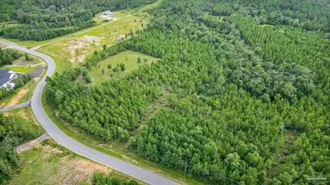 17 Br Buffalo Ridge Rd, Pace, FL 32571 photo 10
