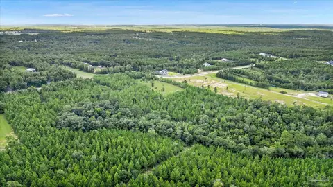 17 Br Buffalo Ridge Rd, Pace, FL 32571 photo 8