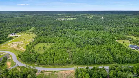 17 Br Buffalo Ridge Rd, Pace, FL 32571 photo 2