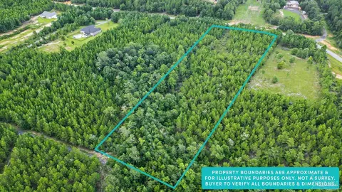 17 Br Buffalo Ridge Rd, Pace, FL 32571 photo 6