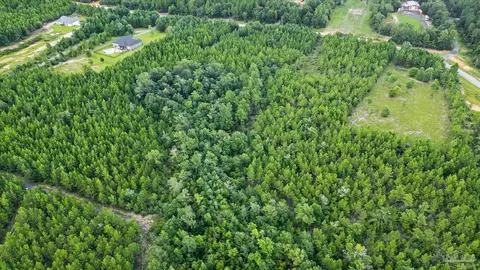 17 Br Buffalo Ridge Rd, Pace, FL 32571 photo 7