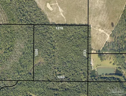 00500 Wayne Bowman Rd, Jay, FL 32565 photo 2