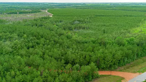 0 Greenwood Rd, Jay, FL 32565 photo 3