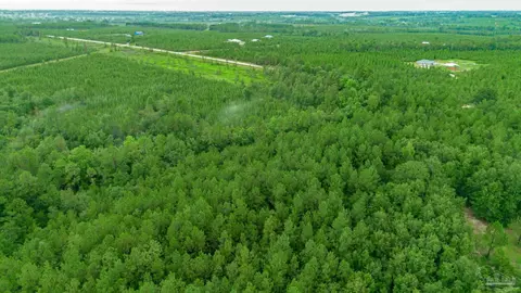 0 Greenwood Rd, Jay, FL 32565 photo 8