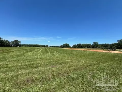 400 Block Ewing Dr, Atmore, AL 36502 photo 7