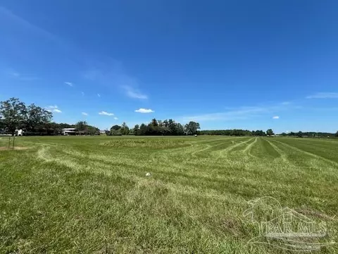 400 Block Ewing Dr, Atmore, AL 36502 photo 8