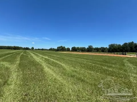 400 Block Ewing Dr, Atmore, AL 36502 photo 10
