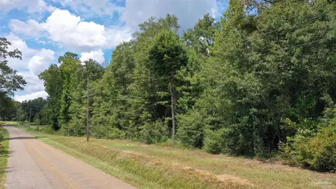 0 Dixonville Rd, Jay, FL 32565 photo 14