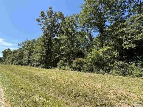 0 Dixonville Rd, Jay, FL 32565 photo 8