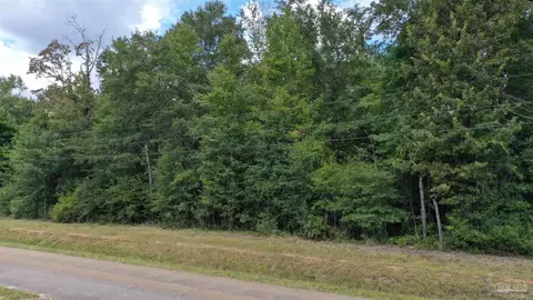 0 Dixonville Rd, Jay, FL 32565 photo 17
