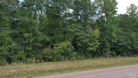 0 Dixonville Rd, Jay, FL 32565 photo 16