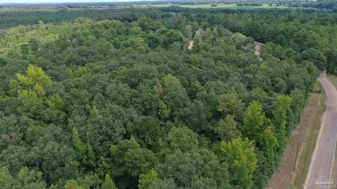 0 Dixonville Rd, Jay, FL 32565 photo 5