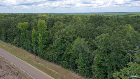 0 Dixonville Rd, Jay, FL 32565 photo 10