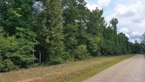 0 Dixonville Rd, Jay, FL 32565 photo 15