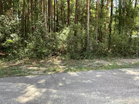 6869 Roundup Ln, Milton, FL 32570 photo 37