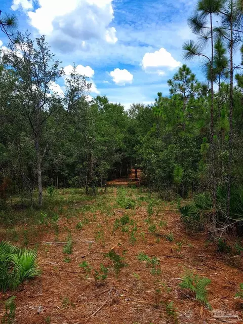 Parcel A-2 Wildlife Rd, Harold, FL 32564
