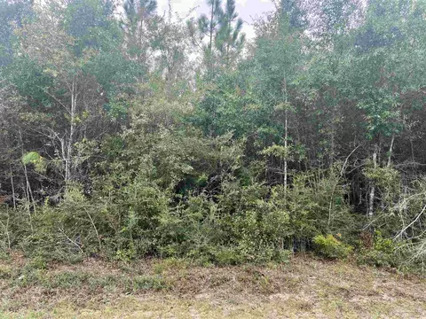lot11 Pineview Church Rd, Jay, FL 32565 photo 2