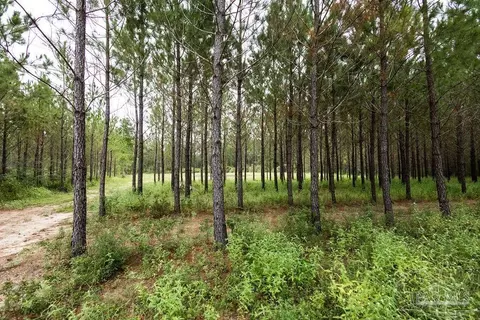 8992 Sage Forest Ln, Pace, FL 32571 photo 20
