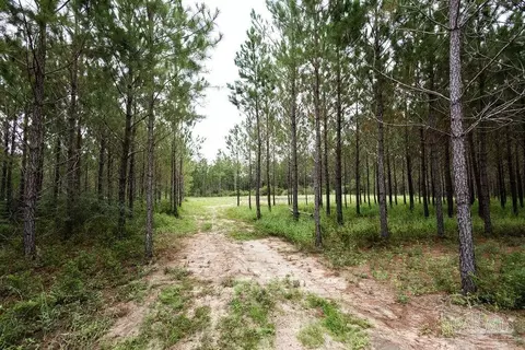 8992 Sage Forest Ln, Pace, FL 32571 photo 23