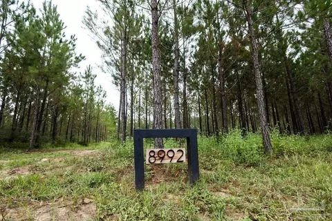 8992 Sage Forest Ln, Pace, FL 32571 photo 17