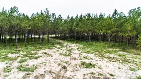 8992 Sage Forest Ln, Pace, FL 32571 photo 4