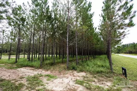 8992 Sage Forest Ln, Pace, FL 32571 photo 22