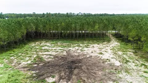 8992 Sage Forest Ln, Pace, FL 32571 photo 24