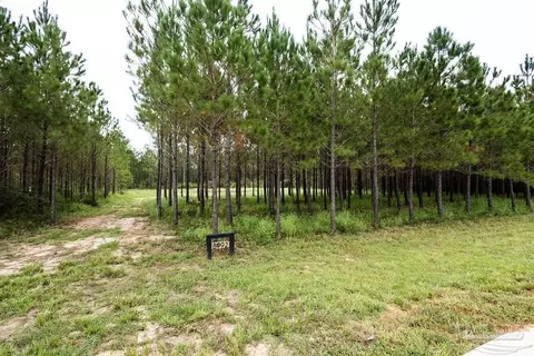 8992 Sage Forest Ln, Pace, FL 32571 photo 10