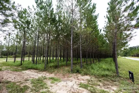 8992 Sage Forest Ln, Pace, FL 32571 photo 2