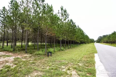 8992 Sage Forest Ln, Pace, FL 32571 photo 11