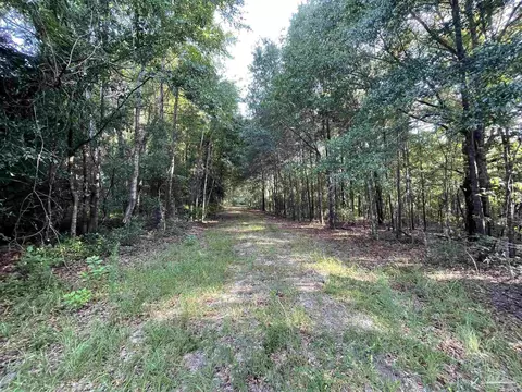 4180 Mart Jernigan Rd, Jay, FL 32565 photo 4