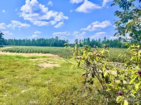 lot8 Sid Hayes Rd, Jay, FL 32565