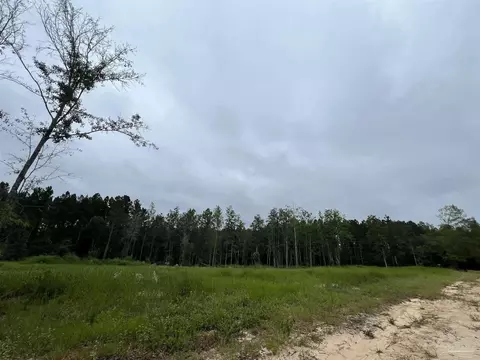 9901 Chumuckla Springs Rd, Jay, FL 32566